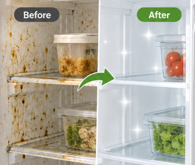 Refrigerator Cleaning Spray